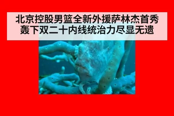 北京控股男篮全新外援萨林杰首秀轰下双二十内线统治力尽显无遗